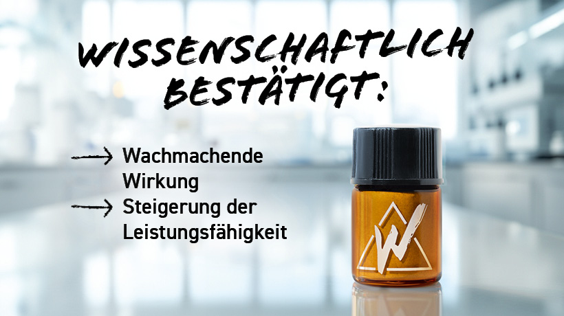 3er-Pack Wildkraut Energy Sniff – Menthol
