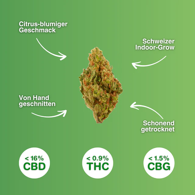 Green Passion - Passion Kush Popcorn 10g - CBD Blüten Indoor