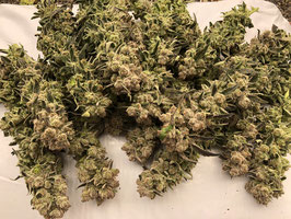 Cannabees - Orangeice (Indoor) 10gr