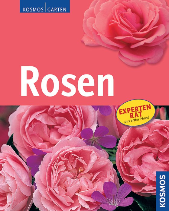 Rosen - Expertenrat aus erster Hand